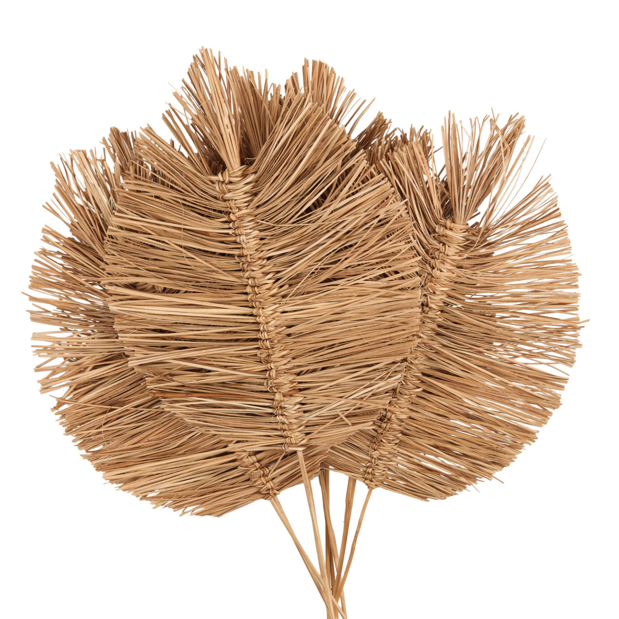 32" Brown Dried Grass Spear-Shaped Foliage with Sharp Stems